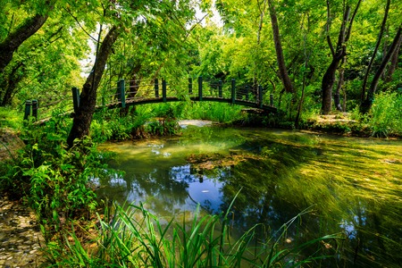 idyllic scenario with a mountain river in the forestの写真素材