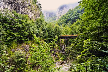 bridge over a mountain river in the Carpathians, Romaniaの写真素材
