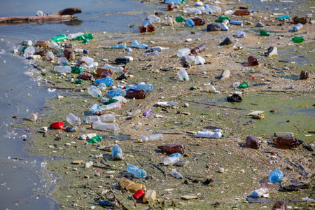 Bottles on a polluted lake