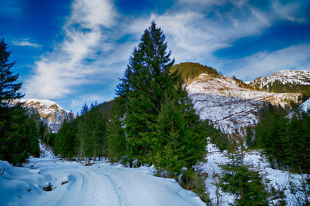beautiful winter landscape in the Carpathian Romania