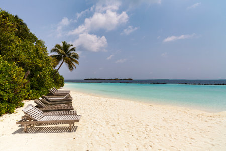 beach chairs on the tropical sand beach
