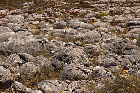 rock formations on the oceanの写真素材