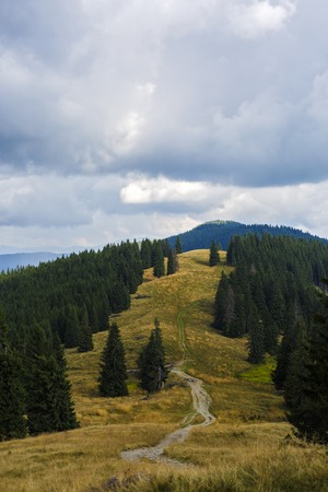 The road to the top of a mountain range covered with grassの写真素材