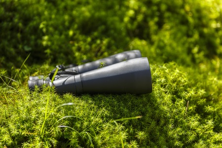 Binoculars in green grass, tourism conceptの写真素材
