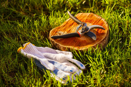 Pruning shears on a wooden stump in grass