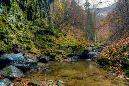 Landscape from Valea lui Stan gorge in Romaniaの写真素材