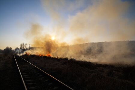 Vegetation fire under the hot sunの写真素材