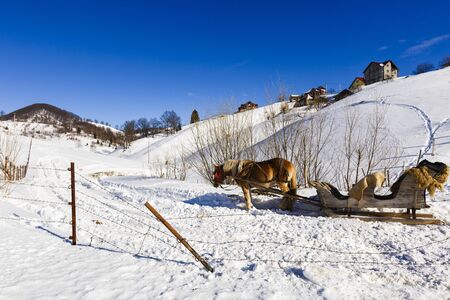 wooden sled pulled by horseの写真素材