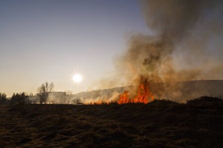 Vegetation fire under the hot sunの写真素材