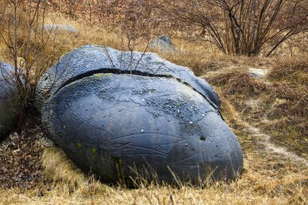 Rare rock formations of (trovantii) of Costesti, Valcea, Romaniaの写真素材