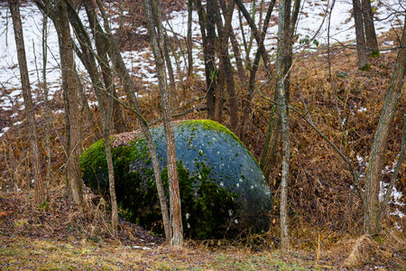Rare rock formations of (trovantii) of Costesti, Valcea, Romaniaの写真素材