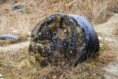 Rare rock formations of (trovantii) of Costesti, Valcea, Romaniaの写真素材