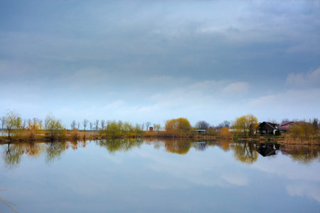 beautiful abstract landscape with trees and lake