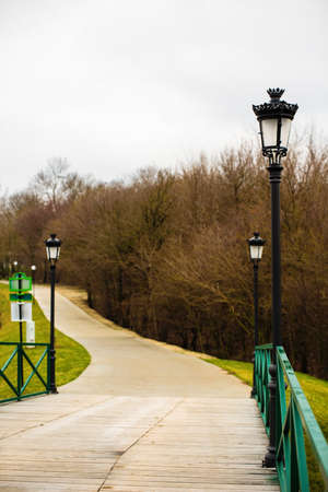 beautiful alley in the parkの写真素材