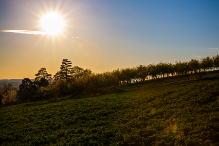 beautiful sunset over a field in rural country Romaniaの写真素材
