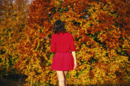 Beautiful young brunette enjoys a sunny day of autumn in natureの写真素材
