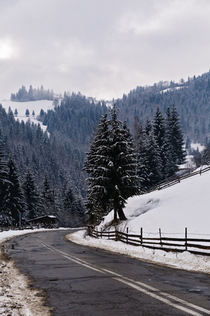 landscape with winter mountain roadの写真素材