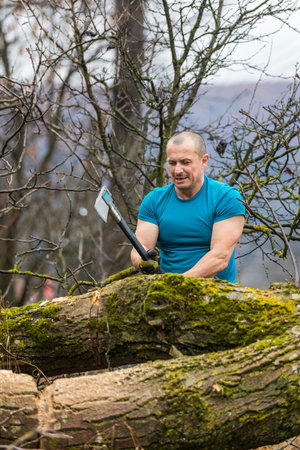 Lumberjack worker chopping down a tree breaking off many splinters in the forest with big axe.