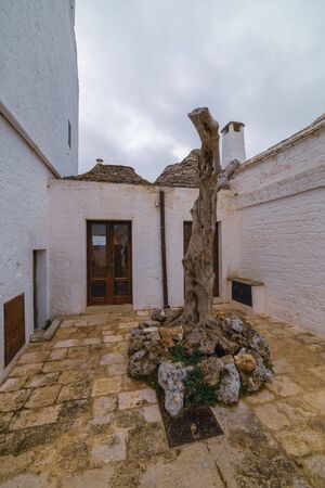 ALBEROBELLO, APULIA, ITALY - FEBRUARY 03 - Beautiful view of the traditional trulli houses with their conical roof on february 03, 2019 in Alberobelloのeditorial素材