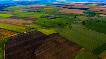 Aerial view of agricultural fields