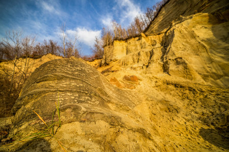 Trovantii â€“ the strangest living stones in Romania.