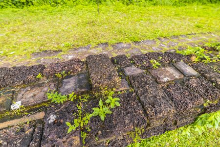 January 14, 2020 Ruins of Old Hindu temple at My Son, Vietnamのeditorial素材