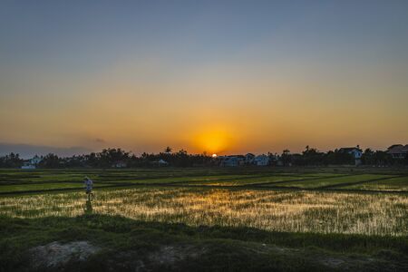 January 11, 2020, Near Hoi An, Vietnam.Agricultural worker works the rice field.のeditorial素材