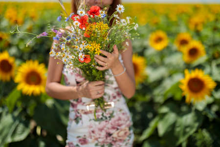 Pretty young woman on a sunflowers fieldの写真素材