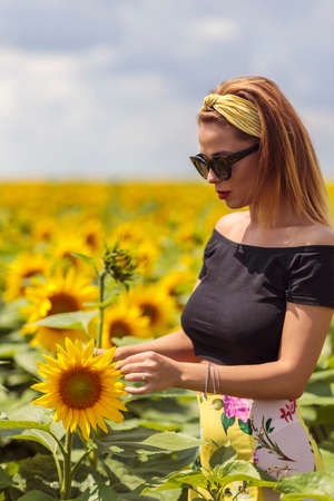 Pretty young woman on a sunflowers fieldの写真素材