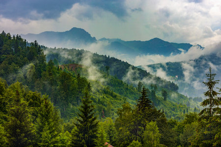 Beautiful landscape with pine forest in the mountains and clouds