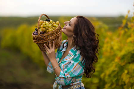 Smiling woman with basket of grapes in the vineyardの写真素材