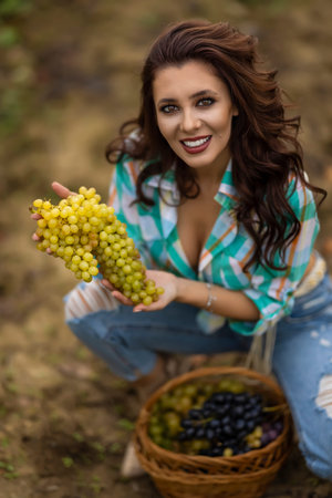 Smiling woman with basket of grapes in the vineyardの写真素材