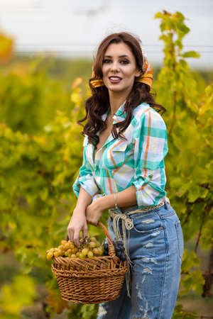 Smiling woman with basket of grapes in the vineyardの写真素材