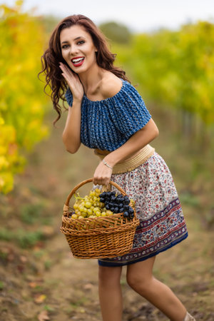 A beautiful woman with a basket of grapes in the vineyard in the autumn.