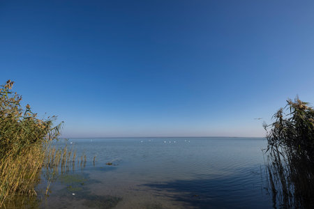 Beautiful landscape with forest lake
