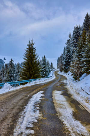 winter road and trees with snow and Carpathian Mountains landscape.の写真素材