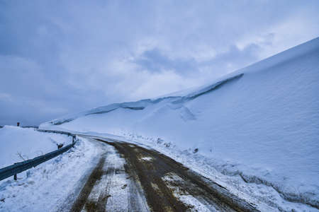winter road and trees with snow and Carpathian Mountains landscape.の写真素材