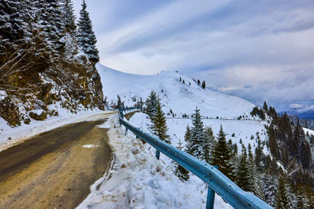 winter road and trees with snow and Carpathian Mountains landscape.の写真素材