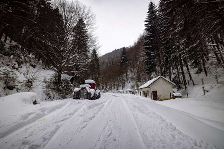 Winter landscape in Zarnesti Gorges (The Precipice of Zarnesti), Romanian Carpathiansの写真素材
