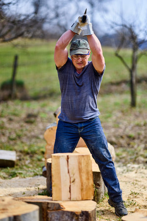 strong man splitting beech logs with an axの写真素材