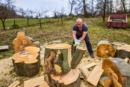 strong man splitting beech logs with an axの写真素材