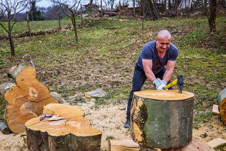strong man splitting beech logs with an axの写真素材