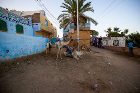 NUBIAN VILLAGE, EGYPT - 14 April, 2021: Architecture of a one of the Nubian villages near Aswan, a settlement along the banks of the Nile from northern Sudan to Aswan.のeditorial素材
