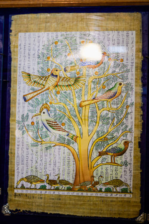 Papyrus. Old natural paper from Egypt