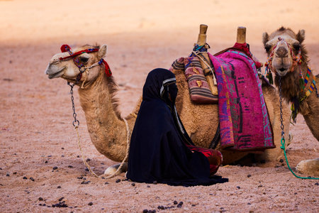 Image from the Bedouin village near Hurghada in Egyptの写真素材
