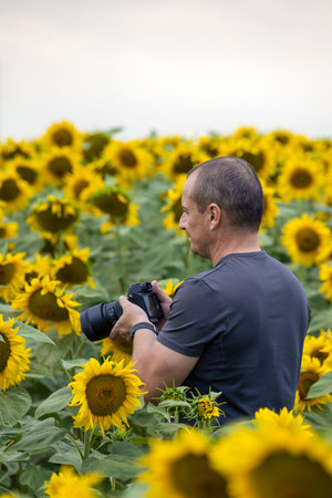 a professional photographer taking pictures in a sunflower plantation