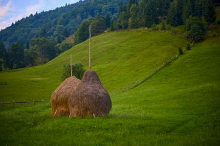 beautiful landscape in the mountain area in the Carpathian mountains Romaniaの写真素材