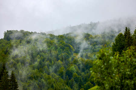 beautiful landscape in the mountain area in the Carpathian mountains Romaniaの写真素材