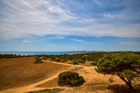 Beautiful landscape with a sea shore on the island of Palma De Mallorca.の写真素材