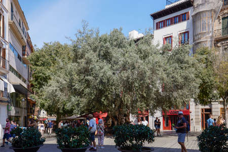 Old Town of Palma de Mallorca, Mallorca, Balearic Islands, Spain, 12 Septeber 2021.のeditorial素材